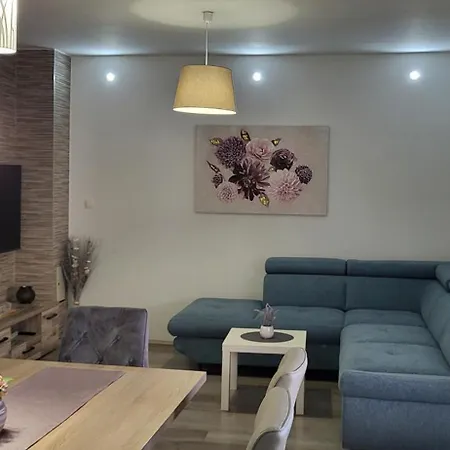House Strenja