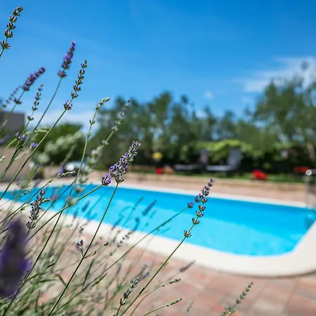 House Strenja Hébergement de vacances Sukošan